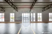 Spațiu Comercial de închiriat, 450 mp utili - Aleșd