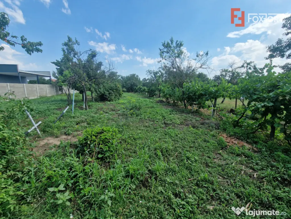 Teren de vanzare , ideal pentru construire casa/duplex