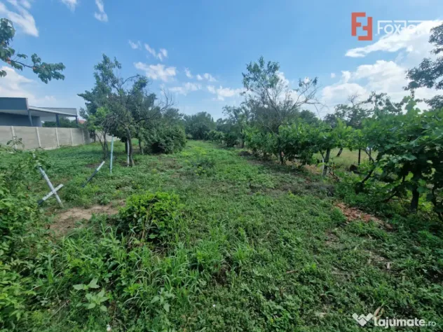 Teren de vanzare , ideal pentru construire casa/duplex