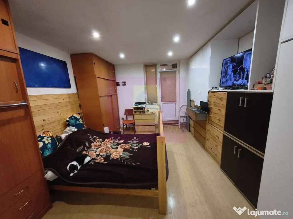 Studio cu curte proprie 25 mp PARC IOR BABA NOVAC - COMIS...