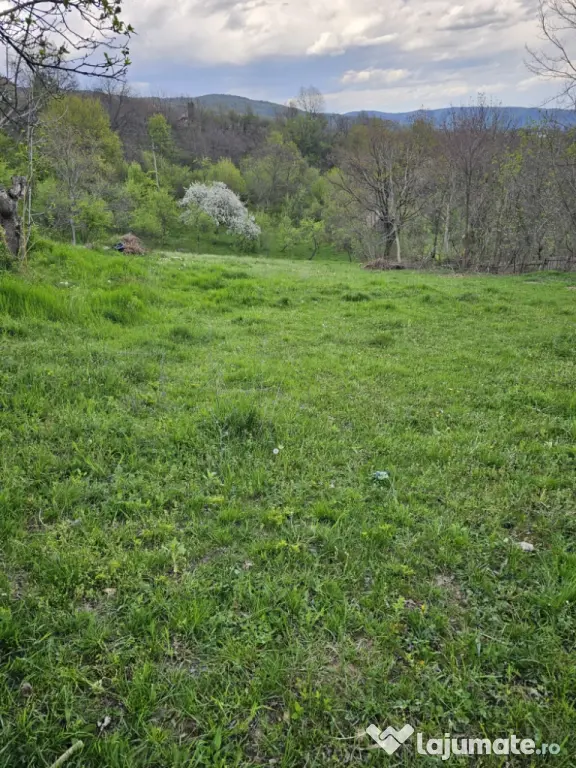 Loturi de vânzare-intravilane!