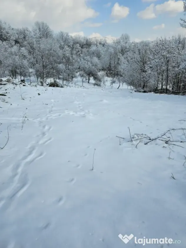 Loturi de vânzare-intravilane!