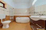 3D! Casa apreciabila, 600mp teren, decor incantator, Rucar. 