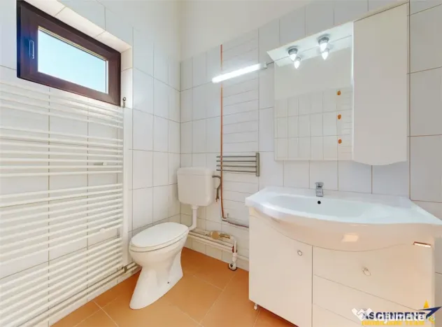 3D! Casa apreciabila, 600mp teren, decor incantator, Rucar.
