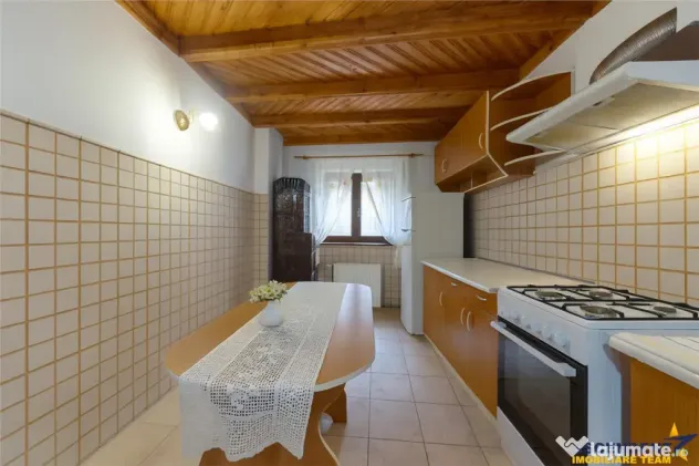 3D! Casa apreciabila, 600mp teren, decor incantator, Rucar.