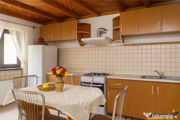 3D! Casa apreciabila, 600mp teren, decor incantator, Rucar.