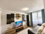 Garsoniera de inchiriat str Tiberiu Ricci 