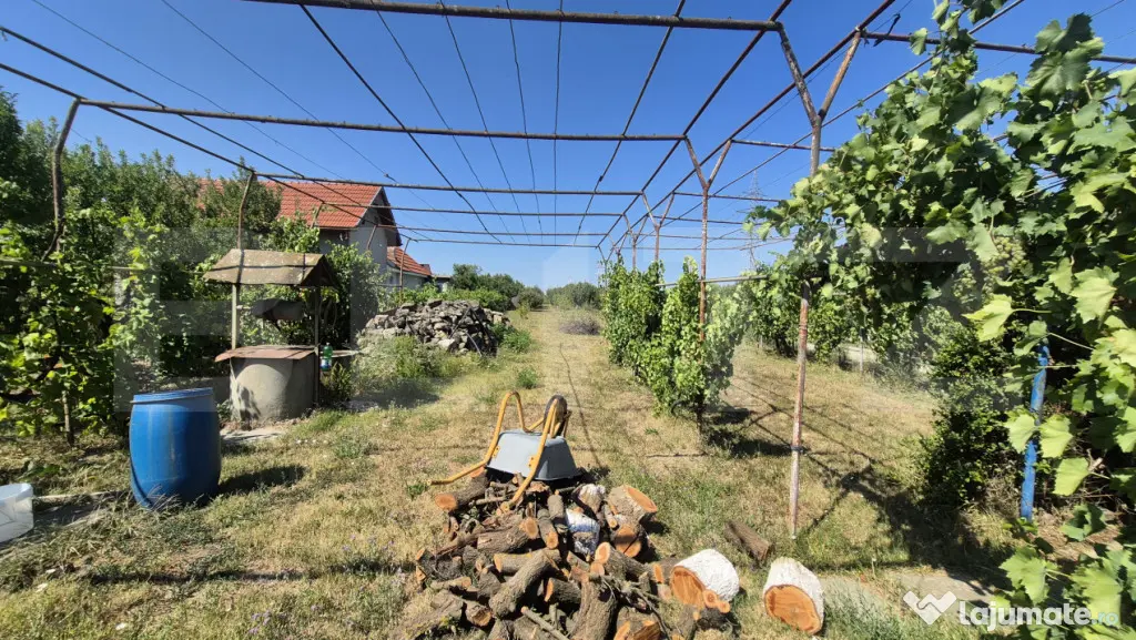 Teren extravilan de vanzare, 2000 mp, zona Careiului - Satu Mare (Satu-Mare)