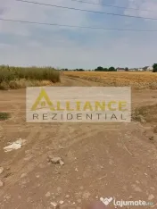Teren 330 mpla 250-300 m de alte case.Zona in dezvoltare. 