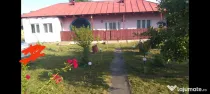 Casa de vânzare in Podu Turcului