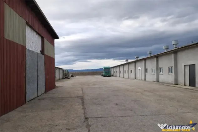 Hala industriala versatila,spatii cazare, platforma betonata