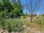 Casă 2 camere în Unirea – 847 mp teren 