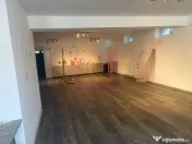 Vila D+P+1+M cu teren 446 mp Drumul Sarii. 