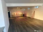 Vila D+P+1+M cu teren 446 mp Drumul Sarii. 