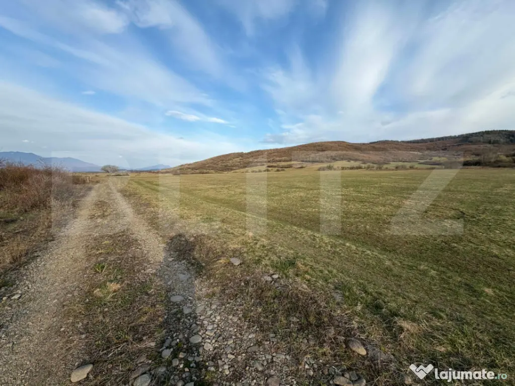 Teren Extravilan | 10 ari | Zona Aerodromului langa partie