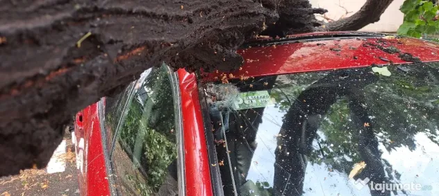 Auto avariat