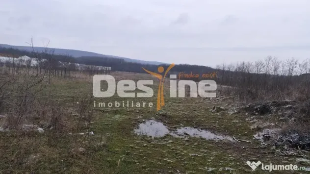 Teren intravilan 7500 mp - Baicoi (Prahova)