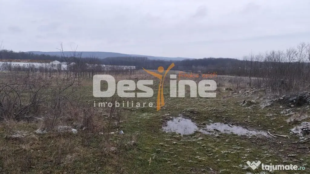 Teren intravilan 7500 mp - Baicoi (Prahova)