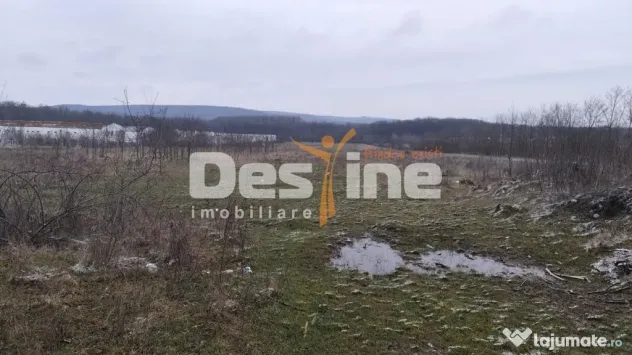 Teren intravilan 7500 mp - Baicoi (Prahova)