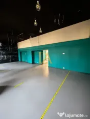 Spațiu comercial stradal de închiriat – Bulevardul Li... 