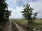 Parcela 702 mp, dubla deschidere, Carcea - Metro 