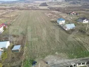 Teren, 5400 mp, Ciurea 