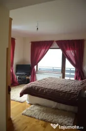 Busteni-Vila de vacanta ,amplasament special 