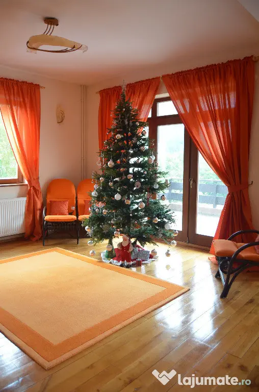 Busteni-Vila de vacanta ,amplasament special