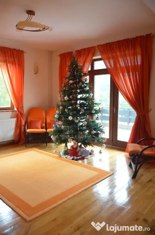 Busteni-Vila de vacanta ,amplasament special