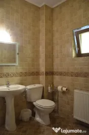 Busteni-Vila de vacanta ,amplasament special 