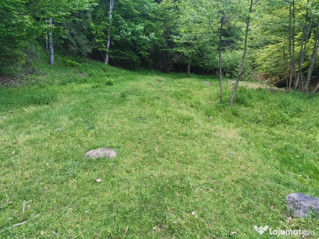 Teren extravilan de vanzare 1.4 ha