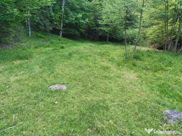 Teren extravilan de vanzare 1.4 ha