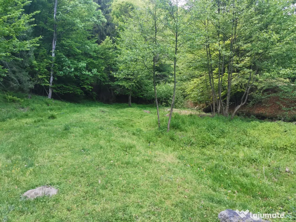 Teren extravilan de vanzare 1.4 ha