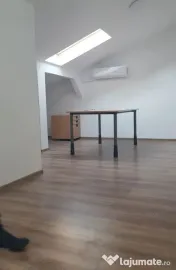 Vila 6 camere metrou Grozavesti pentru birouri sau locuinta 