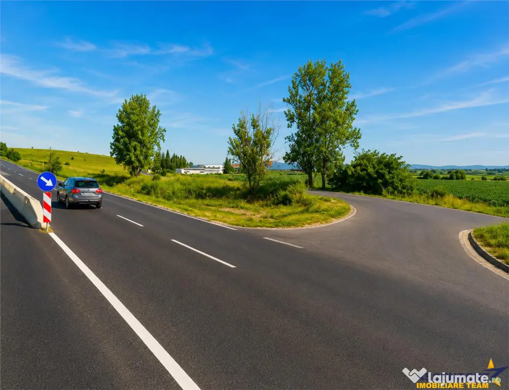 22.500mp oportunitate investitie, teren cu vizibilitate la D