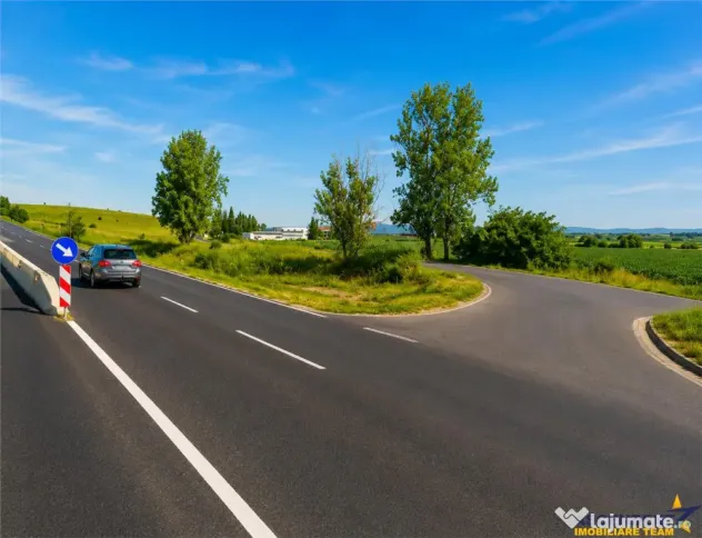 22.500mp oportunitate investitie, teren cu vizibilitate la D