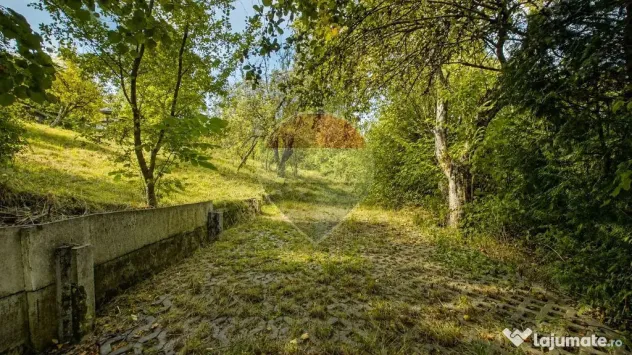 TEREN INTRAVILAN 1.498 MP CU CONSTRUCTIE | 3 FRONTURI STR...