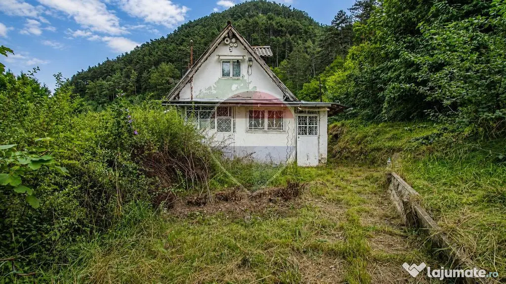 TEREN INTRAVILAN 1.498 MP CU CONSTRUCTIE | 3 FRONTURI STR...