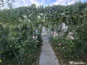 Casă cu 3 corpuri, gospodărie și 2 fronturi stradale – 