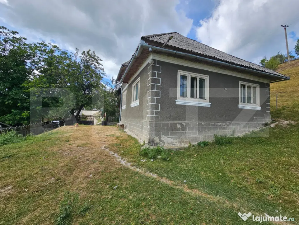 Proprietate cu 2 case, teren 1.855 mp, Priveliște spectacul