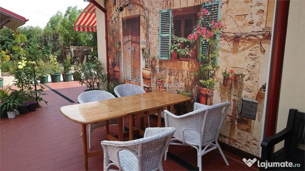 Casa tip Parter, amprenta 346 mp, teren 7241 mp, POGOANELE
