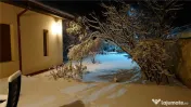 Casa tip Parter, amprenta 346 mp, teren 7241 mp, POGOANELE 