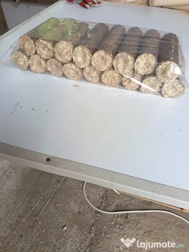 Vand Brichete Rotunde Pline pentru Foc