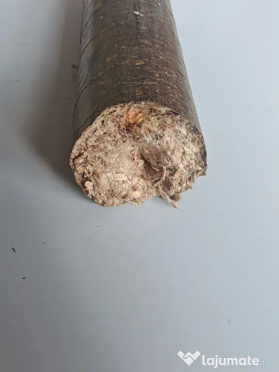 Vand Brichete Rotunde Pline pentru Foc