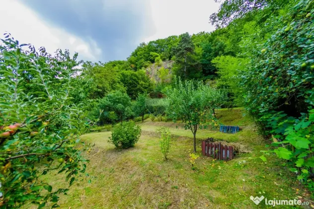 CASA cu TEREN generos , in linistea naturii