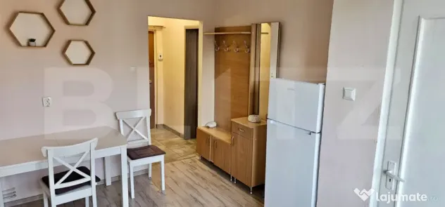 Apartament cu o camera, 43 mp, cartier Gruia
