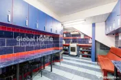 Vila cu sau fara afacere P+2E+M | Mihai Bravu - Stadion Olim