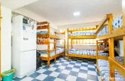 Vila cu sau fara afacere P+2E+M | Mihai Bravu - Stadion Olim
