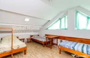 Vila cu sau fara afacere P+2E+M | Mihai Bravu - Stadion Olim