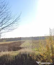 Teren 1 ha la asfalt – Brăești,jud Botosani 